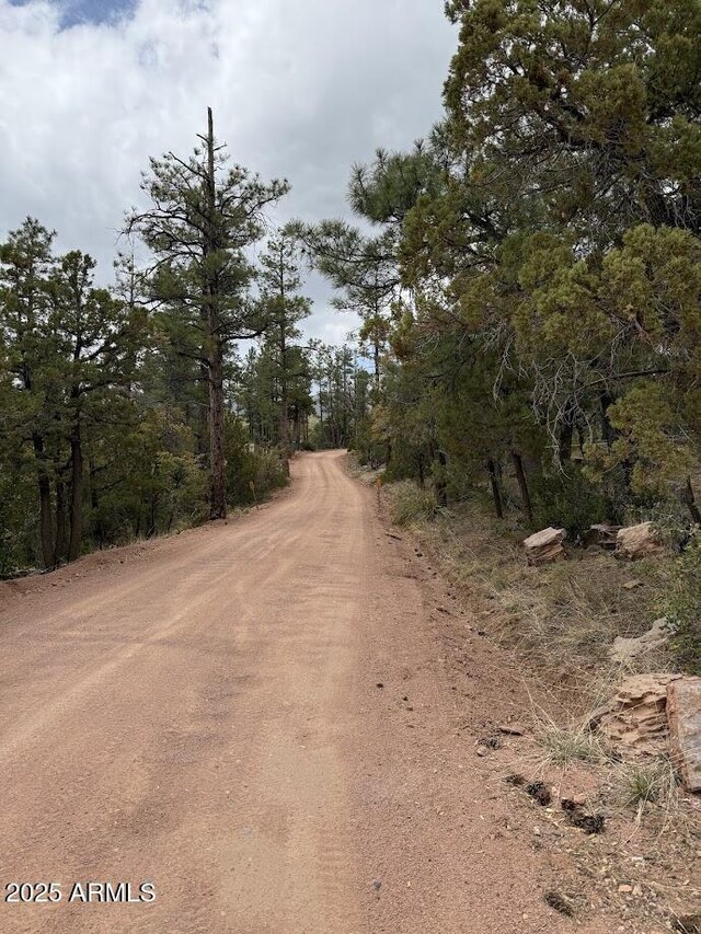 691 N Pyle Ranch Rd, Payson, AZ 85541 - view of dirt / gravel road