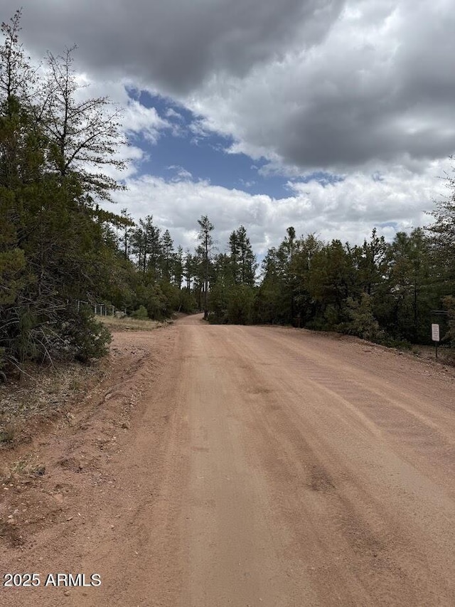 691 N Pyle Ranch Rd, Payson, AZ 85541 - view of dirt / gravel road