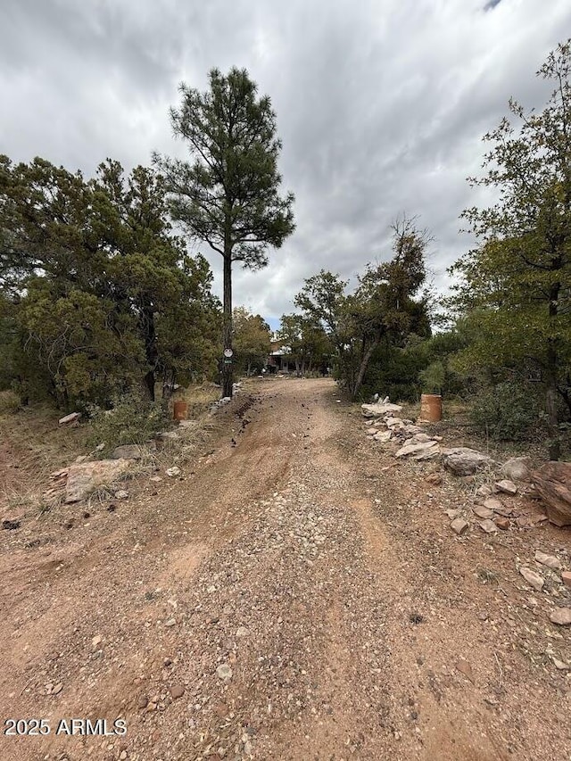 691 N Pyle Ranch Rd, Payson, AZ 85541 - view of street