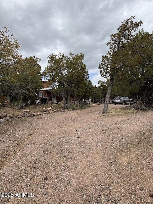 691 N Pyle Ranch Rd, Payson, AZ 85541 - view of property hidden behind natural elements