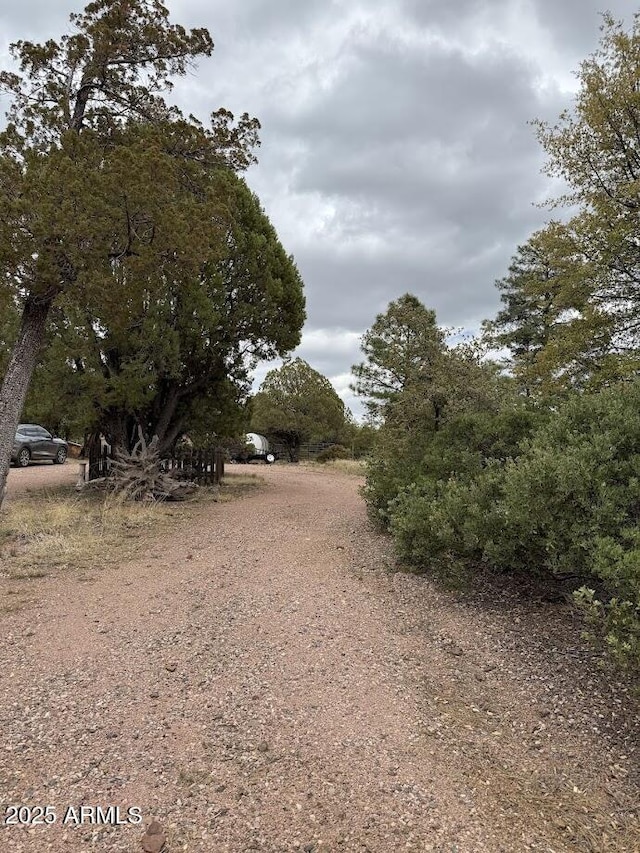 691 N Pyle Ranch Rd, Payson, AZ 85541 - view of street