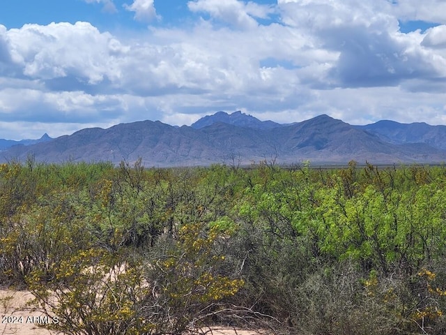 - W Coyote Song Road -, San Simon AZ, 85632 land for sale