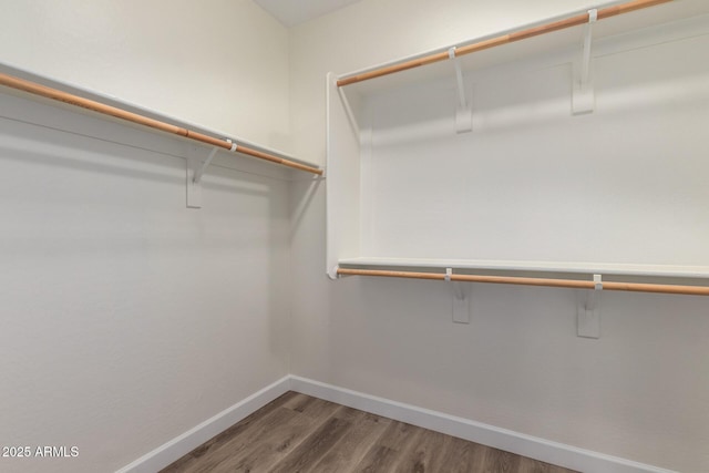 walk in closet featuring hardwood / wood-style floors