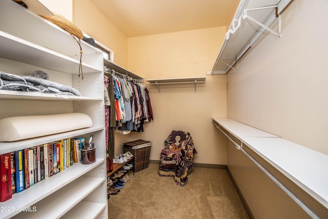 6334 E Albany St, Mesa, AZ 85205 - walk in closet featuring carpet floors