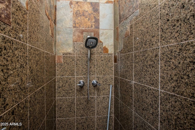 6334 E Albany St, Mesa, AZ 85205 - bathroom view of tiled shower