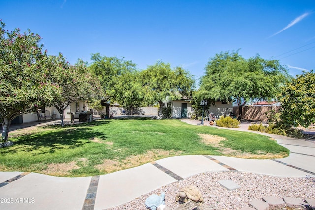 6334 E Albany St, Mesa, AZ 85205 - view of yard