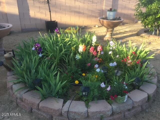 6334 E Albany St, Mesa, AZ 85205 - view of yard