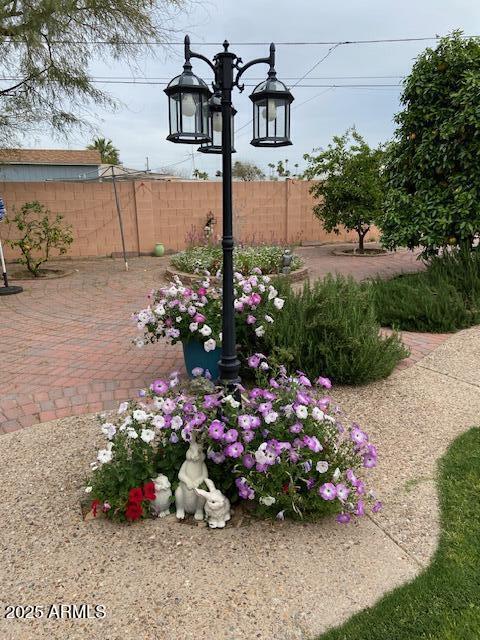 6334 E Albany St, Mesa, AZ 85205 - view of yard