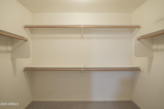 walk in closet featuring carpet
