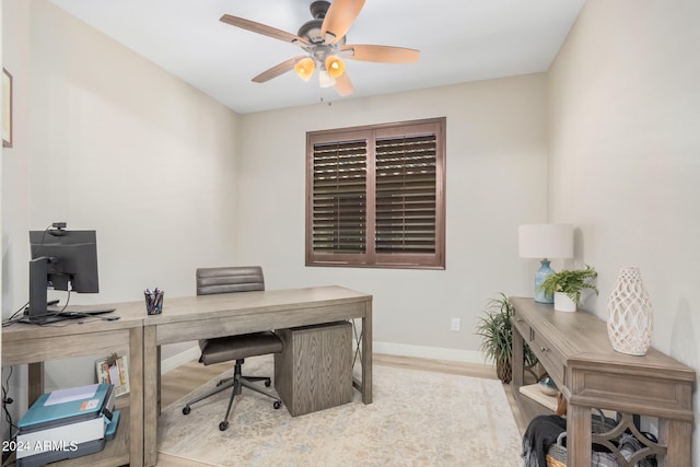 office area featuring light hardwood / wood-style flooring and ceiling fan