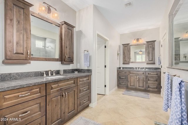 bathroom featuring a wealth of natural light, vanity, and a shower