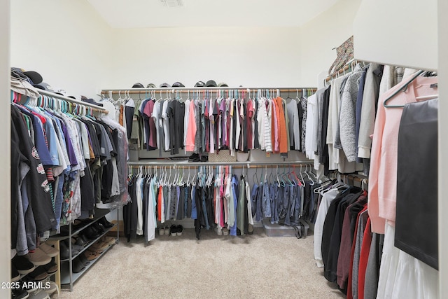 view of walk in closet