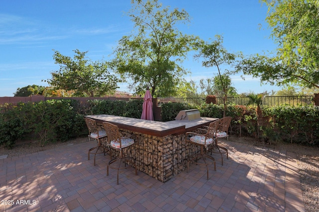 view of patio / terrace with exterior kitchen and exterior bar