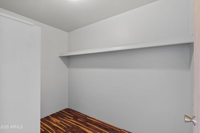 walk in closet with dark wood finished floors