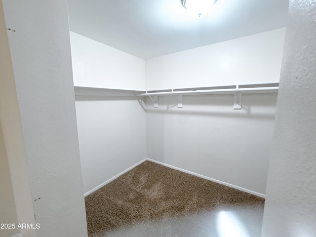 spacious closet featuring carpet floors