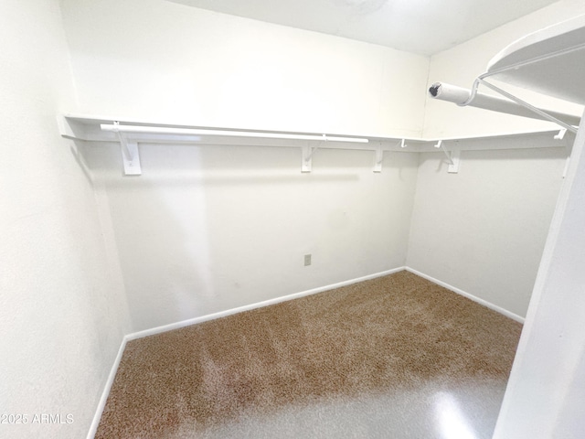 walk in closet featuring carpet floors