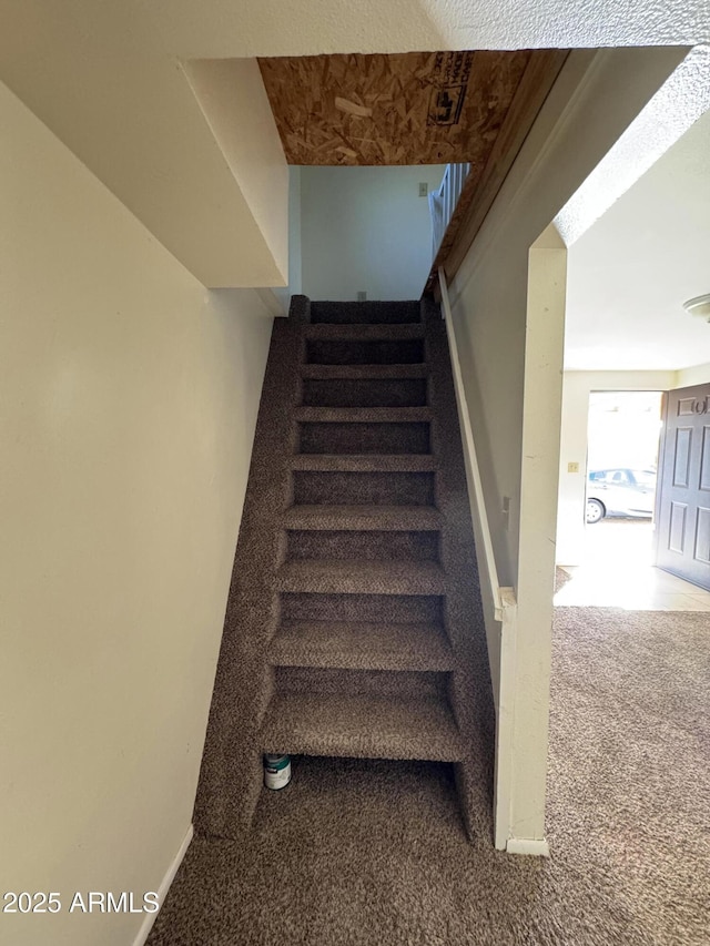 staircase featuring carpet