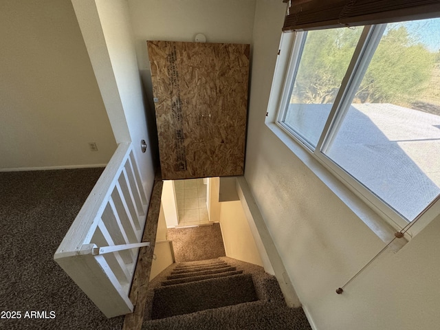 stairs featuring carpet