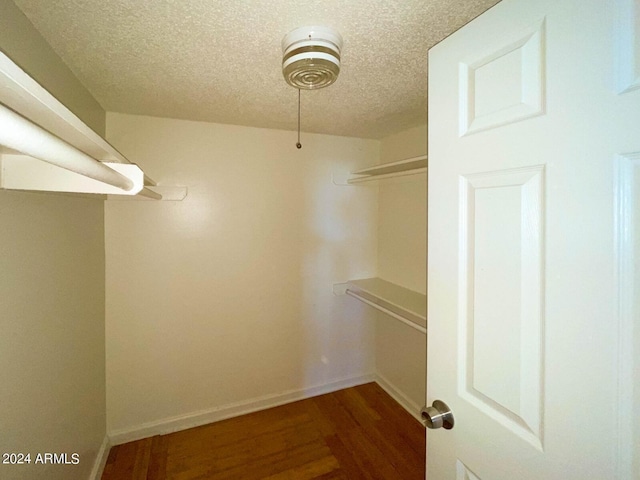 spacious closet with wood-type flooring