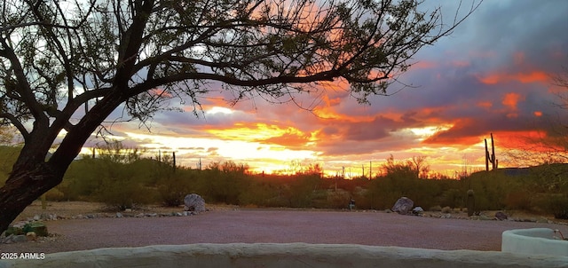 view of yard at dusk