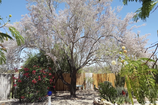 view of yard featuring fence