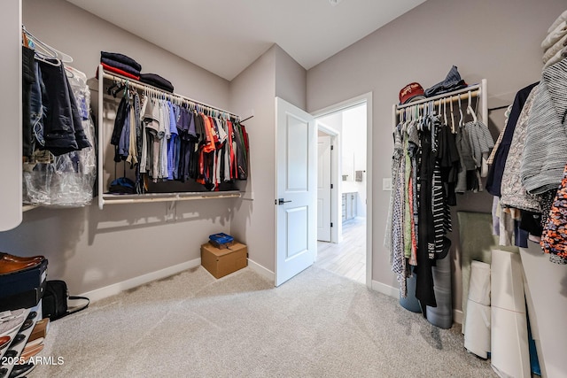 spacious closet with carpet