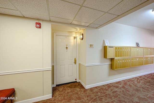 hall featuring dark colored carpet, a paneled ceiling, and mail boxes