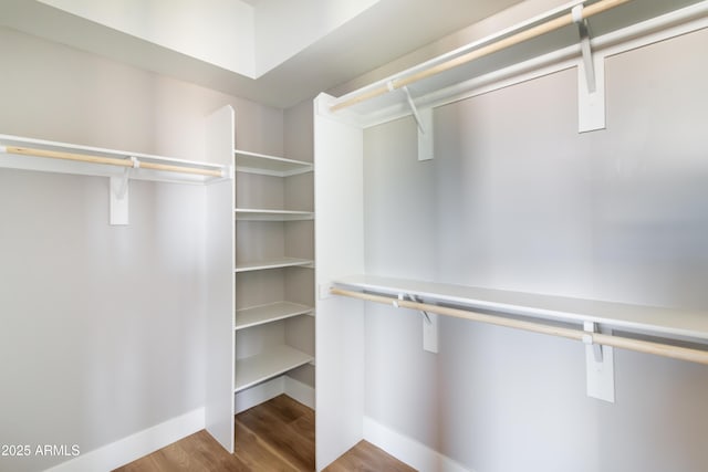 spacious closet featuring hardwood / wood-style flooring