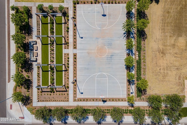 bird's eye view