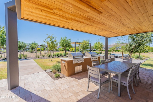 view of patio / terrace featuring grilling area, area for grilling, and outdoor dining area