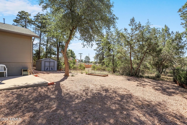 view of yard with a storage unit and a patio area