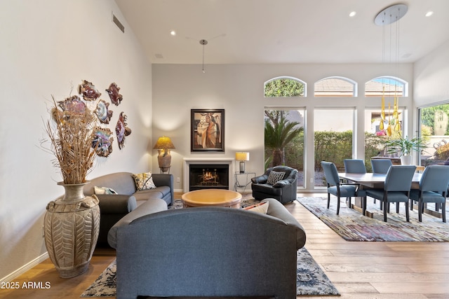 living room with hardwood / wood-style floors