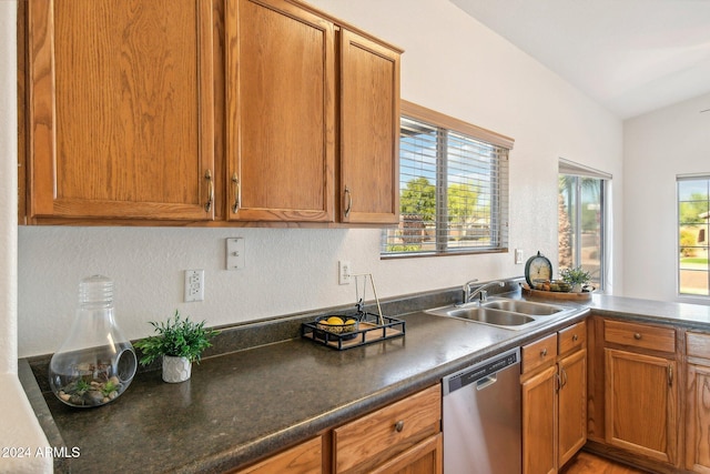 kitchen with vaulted ceiling, sink, and stainless steel dishwasher