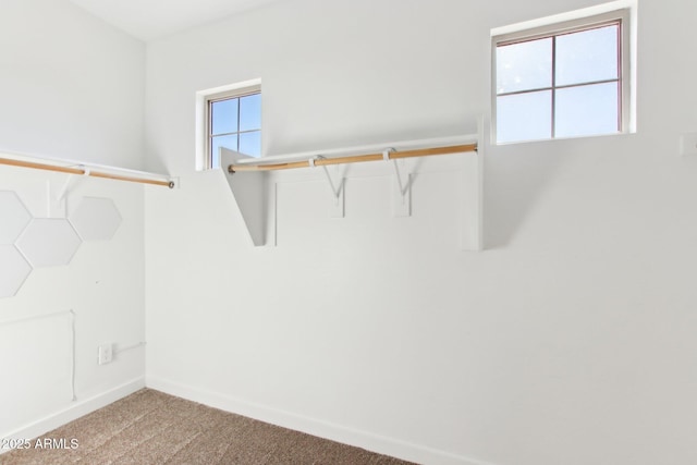 6641 N Desert Shadow Ln, Phoenix, AZ 85014 - walk in closet featuring light carpet
