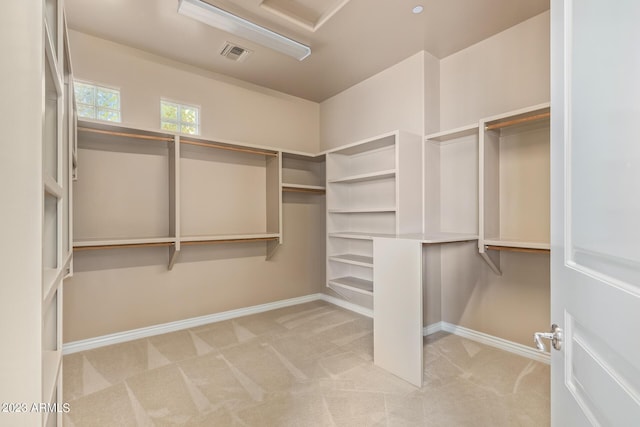 spacious closet featuring light carpet