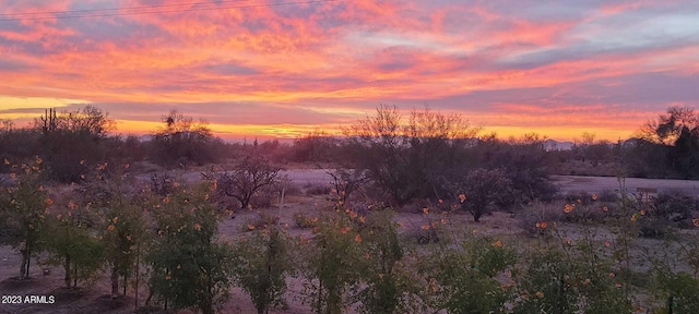 view of nature at dusk