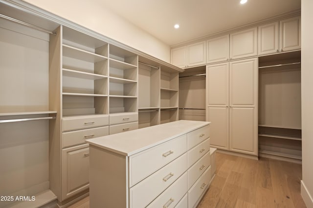 12887 N 135th St, Scottsdale, AZ 85259 - walk in closet featuring light wood-type flooring