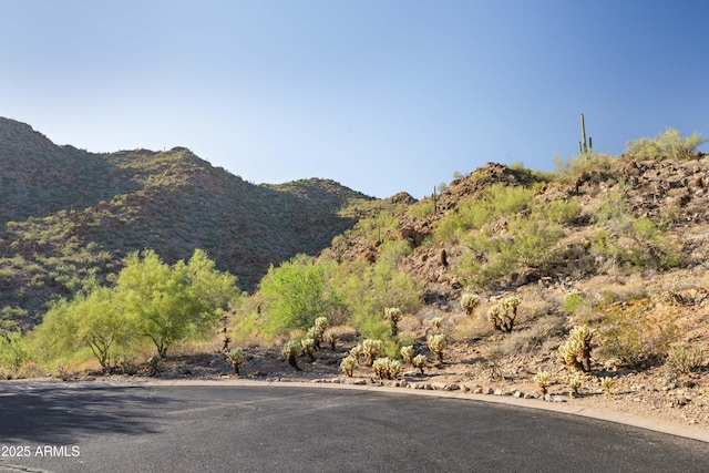 12887 N 135th St, Scottsdale, AZ 85259 - mountain view