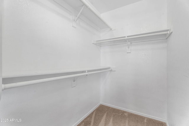 1574 E Scott Ave, Gilbert, AZ 85234 - spacious closet with carpet floors