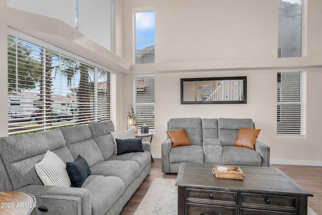 1574 E Scott Ave, Gilbert, AZ 85234 - living room with healthy amount of natural light, wood finished floors, and a high ceiling