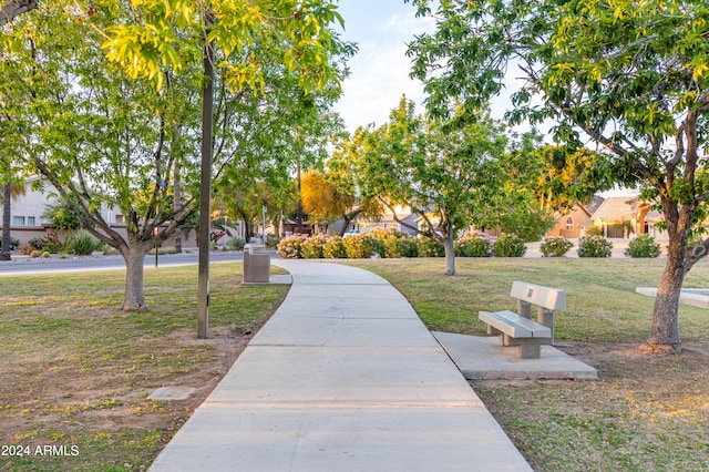 view of nearby features featuring a lawn