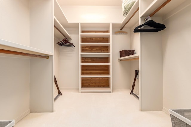 spacious closet featuring carpet