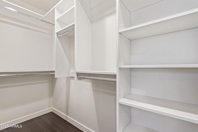 walk in closet with dark wood finished floors