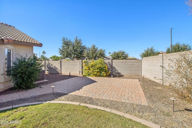 view of yard with a patio area