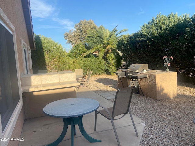 view of patio / terrace featuring an outdoor kitchen