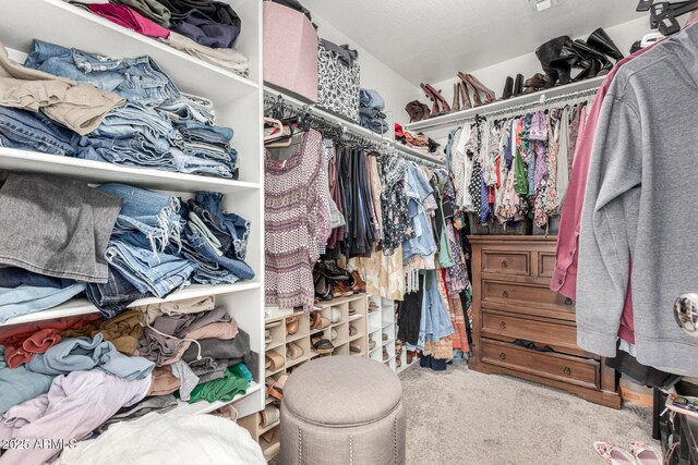 2048 S Martingale Rd, Gilbert, AZ 85295 - walk in closet with carpet flooring