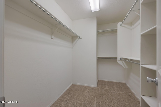 spacious closet featuring carpet flooring