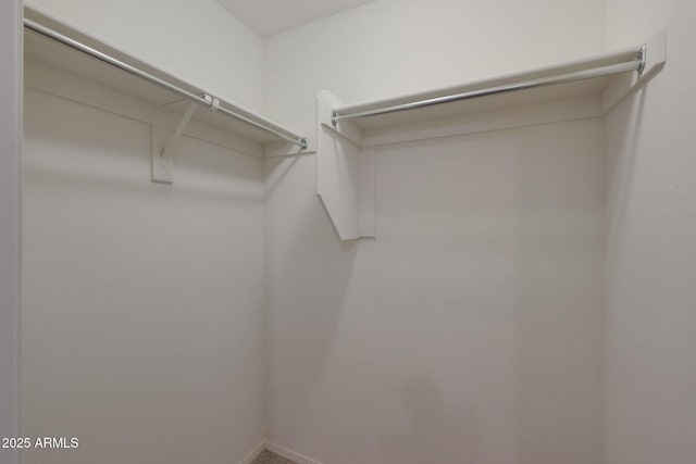 view of walk in closet