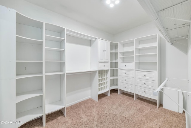 spacious closet featuring light colored carpet