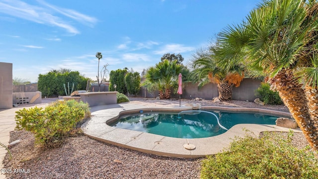 view of pool featuring a bar and a patio